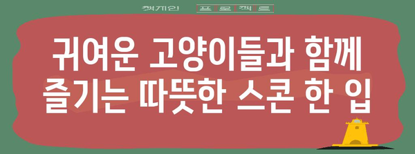 고양이와 함께 달콤한 시간! 고양이 카페에서 맛있는 스콘 탐방