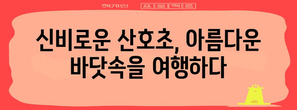 몰디브 자연환경의 매력| 푸른 바다, 하얀 백사장, 그리고 풍부한 생태계 | 몰디브 여행, 자연, 관광, 생태
