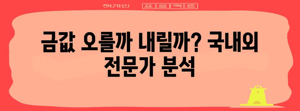 국내외 금시세 전망 | 금투자의 올바른 길잡이