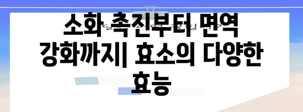 효소 파헤치기 | 놀라운 효능과 이해해야 할 부작용