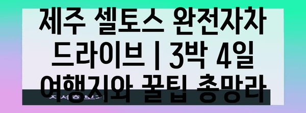 제주 셀토스 완전자차 드라이브 | 3박 4일 여행지와 꿀팁 총망라