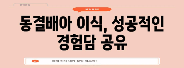 시험관 시술 후 동결배아 이식 최적화 가이드