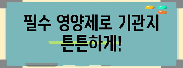 기관지 건강 향상을 위한 영양 가이드 | 필수 영양제, 팁, 질환 관리