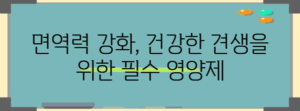 견강을 위한 필수 영양제 | 반려견의 면역력 강화