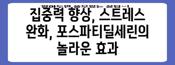 포스파티딜세린 | 뇌 건강의 자연 보호자