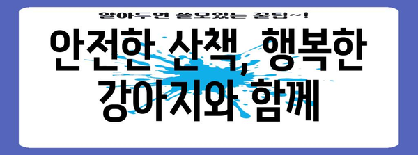 안전한 강아지 산책 | 위험성 가이드와 올바른 신발 선택