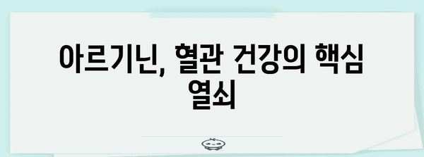 아르기닌의 건강 기여 | 허혈 극복 위한 필수 영양소