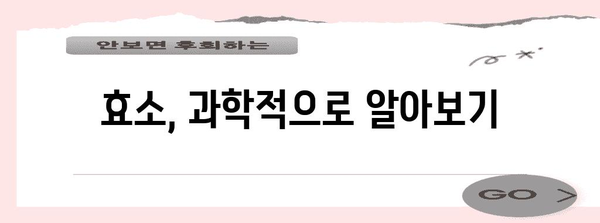 효소 부작용 | 주의해야 할 사항과 건강에 미치는 영향