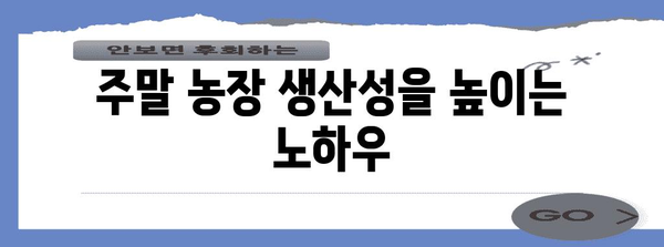 주말 농장 다루는 법 | 효율성과 생산성의 비결