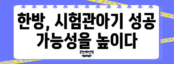 시험관아기 성공률 파헤치기 | 한방 관리의 효과와 사례