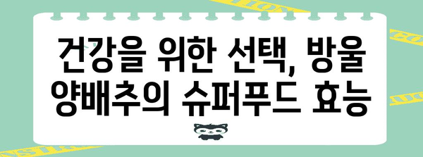 방울 양배추의 힘 | 슈퍼푸드 효능과 건강적 비법