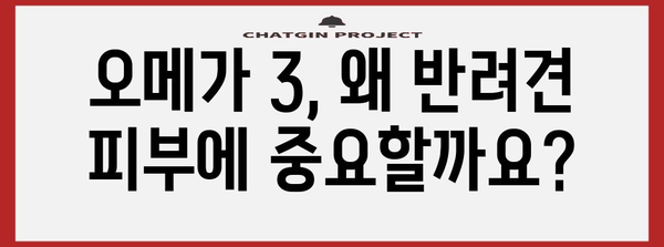 반려견 피부 건강 가이드 | 오메가 3의 효능과 영양제 선택