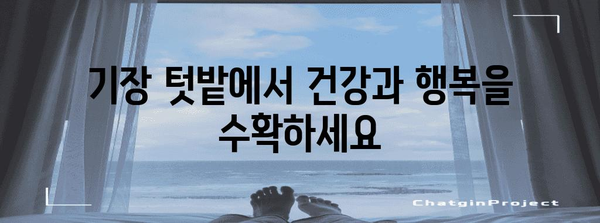 기장에서 꿈꿔왔던 텃밭을 만나보세요