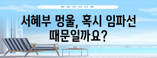 임파선 붓기 완화 | 서혜부 멍울 체험기와 영양학적 접근법