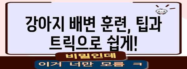 강아지 배변훈련 가이드 | 소변 훈련부터 성공 팁까지