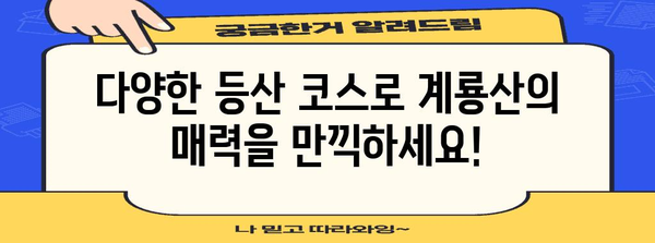 계룡산 여름 휴가 최적 코스 | 물놀이, 피크닉, 하이킹