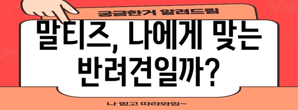 말티즈 입양의 모든 것 | 건강한 반려견 맞이하기 위한 가이드