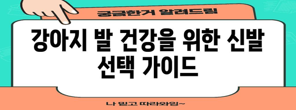 안전한 강아지 산책 | 위험성 가이드와 올바른 신발 선택