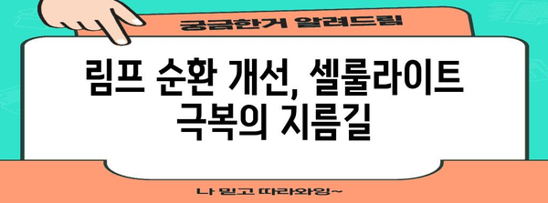 림프선 부종과 셀룰라이트의 뿌리를 찾아서 | 건강한 대처법