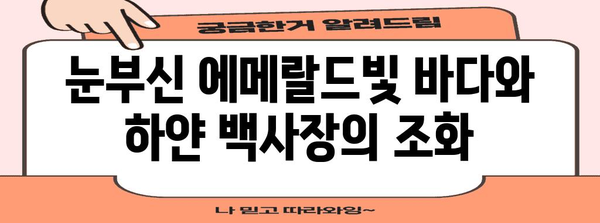 나트랑 여름휴가 추천 | 햇빛과 해변의 매력