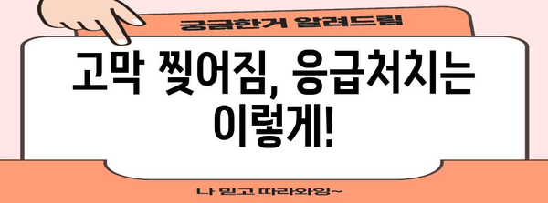 고막 찢어짐 증상 이해와 올바른 대처법