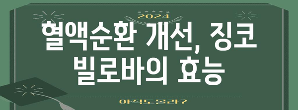 기억력과 혈행 개선을 위한 징코 빌로바 영양제의 힘