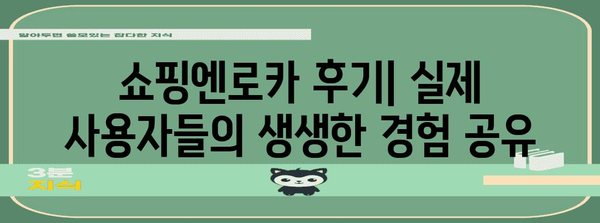 네이버페이 쇼핑엔로카 단점 장점 솔직 후기 비교분석