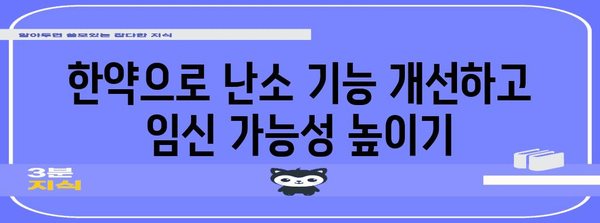 한약으로 임신 준비 | 시험관 시술 성공 확률 향상