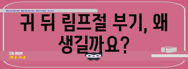 귀 뒤 림프절 부기 원인 탐구 | 빈번한 부기를 이해하기