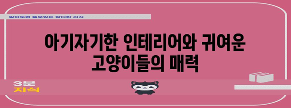 고양이와 달콤한 시간 | 베이커리 고양이 카페 추천