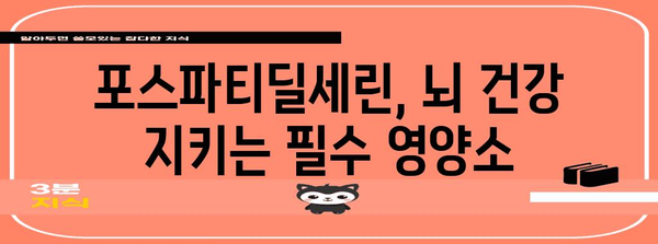 포스파티딜세린 | 뇌 건강의 자연 보호자