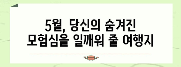 짜릿한 5월 액티비티 여행지 5선 | 아드레날린 충전 모험