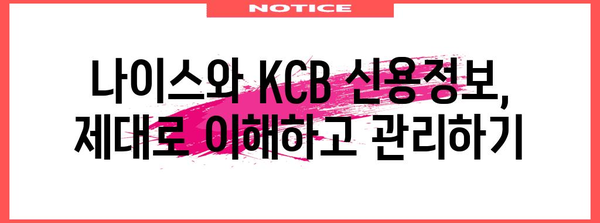 나이스 vs KCB 신용점수 비교 | 올리는 방법과 신용관리 꿀팁