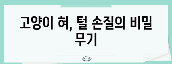 고양이 혀의 놀라운 비밀 | 털 손질과 맛의 핵심