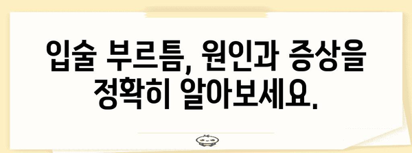 입술 부르틈 치료법 | 연고·약물의 과학적 가이드