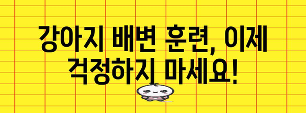 강아지 배변훈련 가이드 | 소변 훈련부터 성공 팁까지