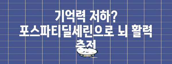 포스파티딜세린 | 뇌 건강의 자연 보호자