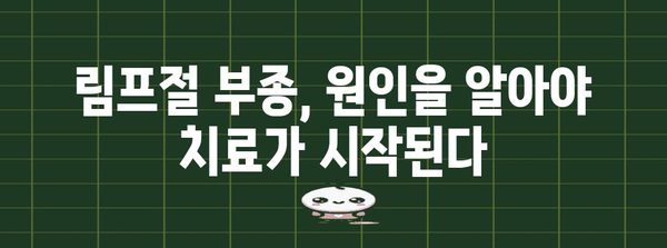 림프절 부종 관리 가이드 | 증상, 원인, 치료 및 예방