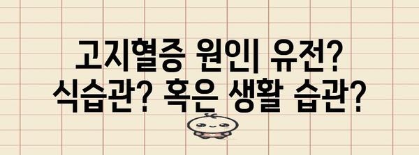 고지혈증 경시 금지 | 원인, 증상, 관리 방법 알아두기