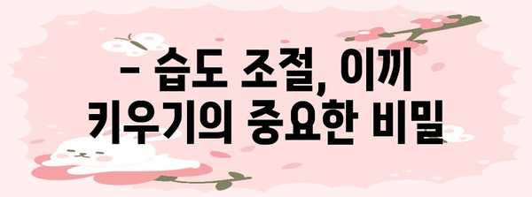 이끼의 매력 | 키우기부터 테라리움까지