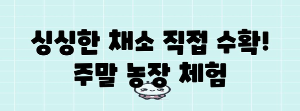 주말 농장 탐험 | 추천 10곳