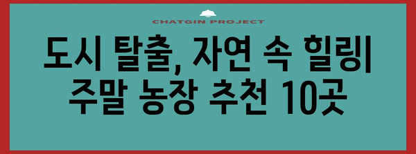 주말 농장 탐험 | 추천 10곳