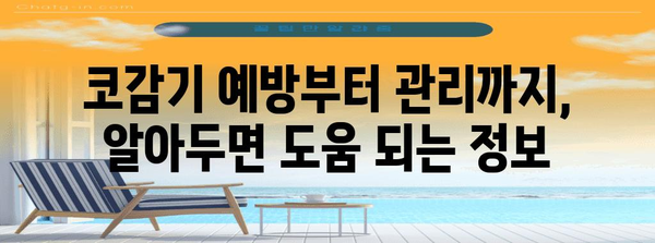 코감기 퇴치 5가지 관리법 | 빨리 건강 회복을 위한 필수 팁