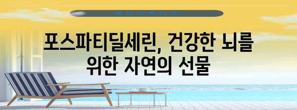 포스파티딜세린 | 뇌 건강의 자연 보호자