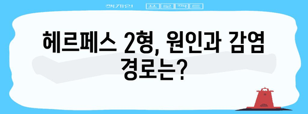 헤르페스 2형 | 맞춤형 치료 옵션과 원인 파악