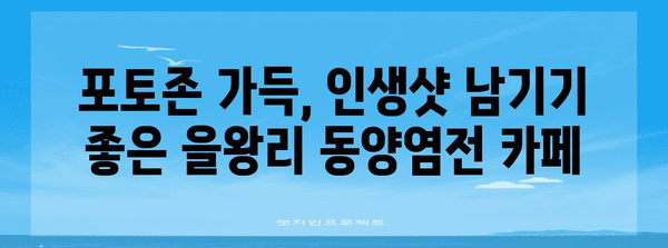 을왕리 동양염전 | 애견과 함께 멋진 시간 보내는 카페