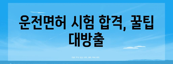 운전 면허 취득 과정 | 단계별 가이드