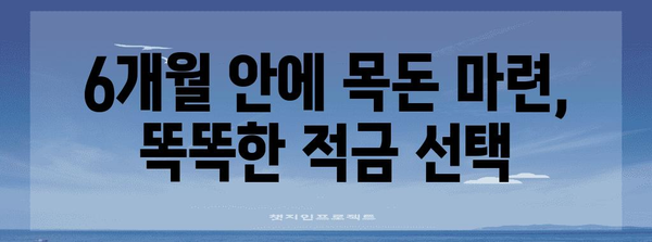 신사람아 위한 6개월 단기 적금 추천