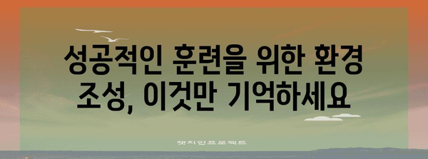 성견 배변 훈련 성공 비결 | 환경 조성부터 실수 해결까지