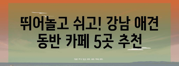 강남 애견 동반 카페 5선 | 달리기를 사랑하는 반려견과 함께